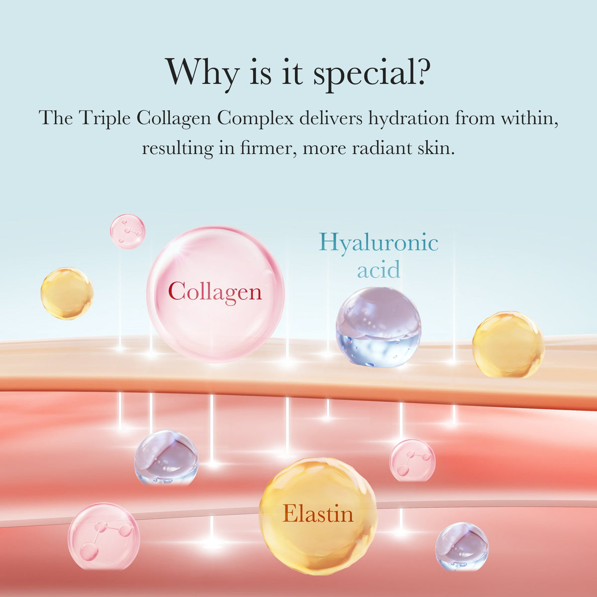 triple-collagen-cream-h8 04_8e4e330d-7d9c-4ff0-93ec-ea541093220c.jpg